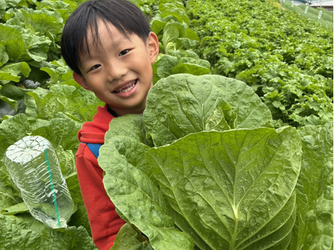 もう少し多めに食べたい方へ　２５００円お勧め旬野菜セット
田口農園徳島「イチオシ旬野菜セット」
農家人が選ぶ旬野菜のおまかせセットです。季節ごとの旬の世界農業遺産ブランド野菜を厳選してお届け致します。