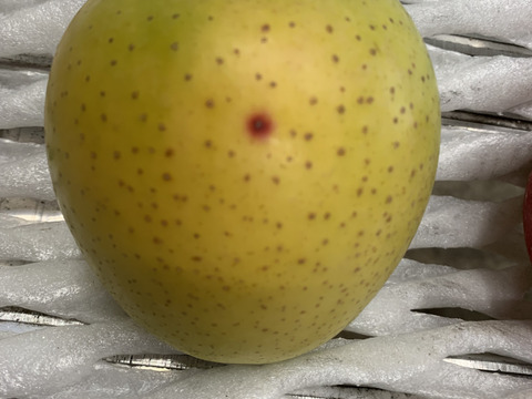 【福袋】数量限定‼️訳あり🍎🍏とジュースの詰め合わせ