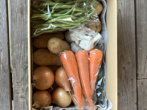 農薬化学肥料・除草剤不使用　初夏の野菜セット　6月