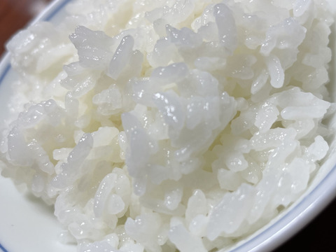 令和7年産　宮城県産　つや姫　5キロ　白米　精米