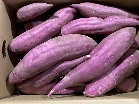 【新品種】訳あり！新物　あまはづき　10kg