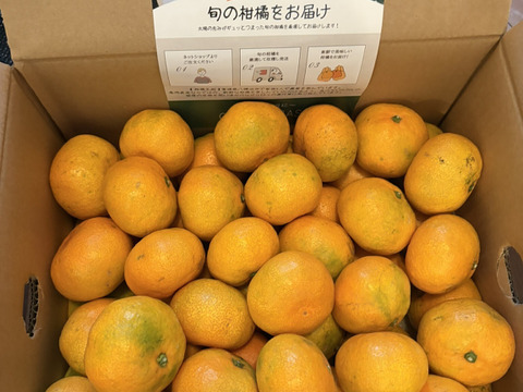 【さっぱりジューシー！】極早生みかん5kg（ご家庭用）