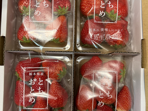 ジューシー！いちご王国栃木県産の朝採れ『とちおとめ』（260ｇ×4パック）「熨斗対応可」