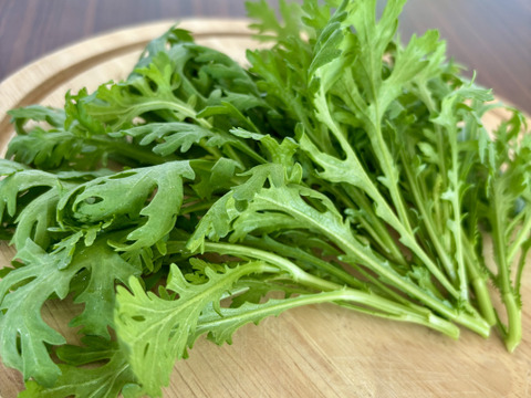 朝採り旬野菜セット(８０サイズ)