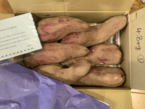 完売間近‼️ガッツリさん向け❣️ホクホク食感！【 紅あずま】 4.8kg