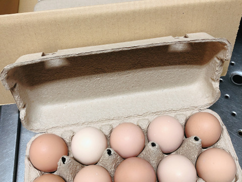 平飼い有精卵 パック入り30個 冷蔵 広島県産 食べチョク 農家 漁師の産直ネット通販 旬の食材を生産者直送