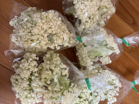 今が旬！スティックカリフラワー  (はなやさい　天草一号/600g