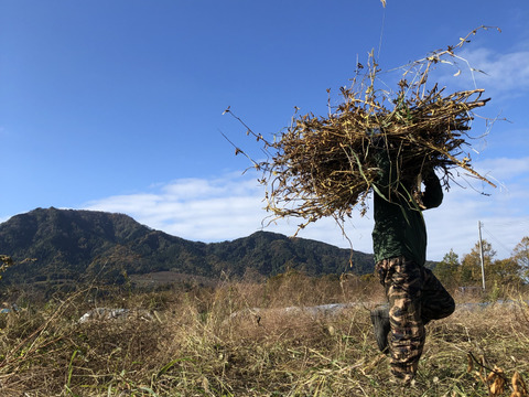 自然栽培黒千石大豆納豆10個