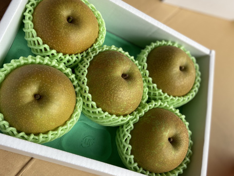 爽やかな甘味と上品な味わい 梨の貴公子　【秋月梨】