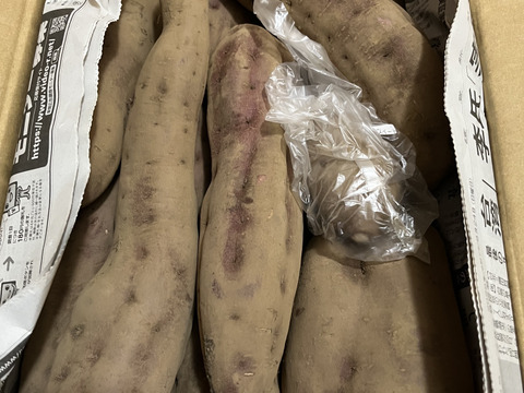 ホクホク食感！千葉県香取市産  紅あずま 2Lサイズのみ　4.8kg