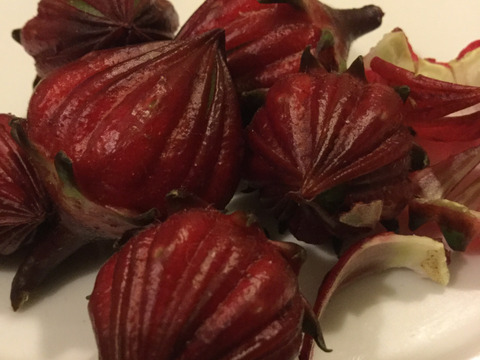 ローゼルでハイビスカスティーを！