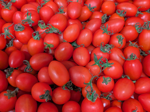 【食べチョク新人賞🏅】やみつきになる甘さ🍅高糖度フルーツミニトマト2Kg