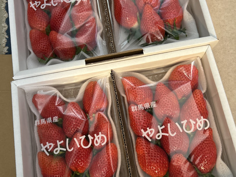 果汁たっぷり❗やよいひめ『群馬いちご』320g×4トレー（2箱）