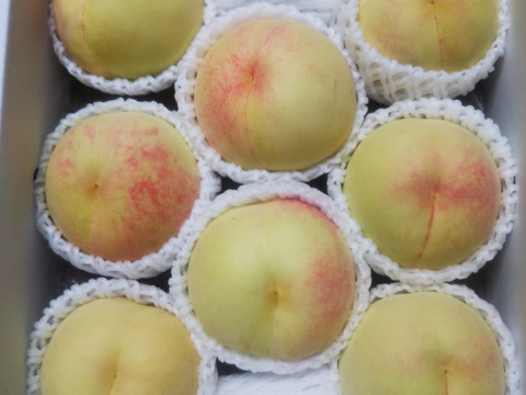 【今が旬：味も香りも極上品質】岡山県産白桃（白鳳） 2kg箱 ご家庭用