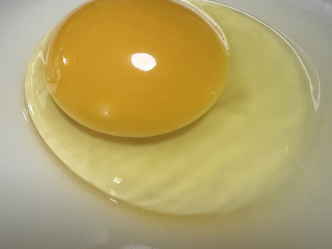 農薬不使用の野菜を食べて育った『ほっこり平飼いたまご』10×3　30個