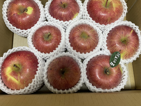 【冬ギフト】 🍎レビュー数1700件突破！！《家庭用》青森完熟葉とらずふじ８〜１２玉(約３kg)🍎ID119812
