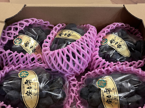 【約2㎏】「空の雫」種無し！ピオーネ　4～5房入り【お届け時期９月　受付順】