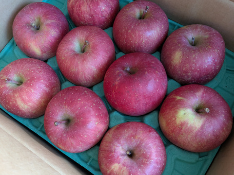 2026年度産予約開始🍎青森県産葉取らず完熟ふじ約6kg‼️