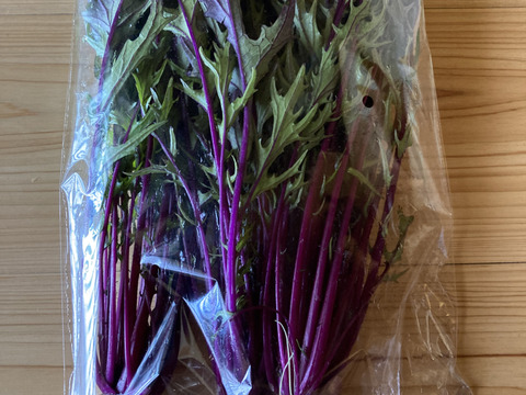 おべじの小さな畑便 ≪初夏のサラダ野菜セット≫