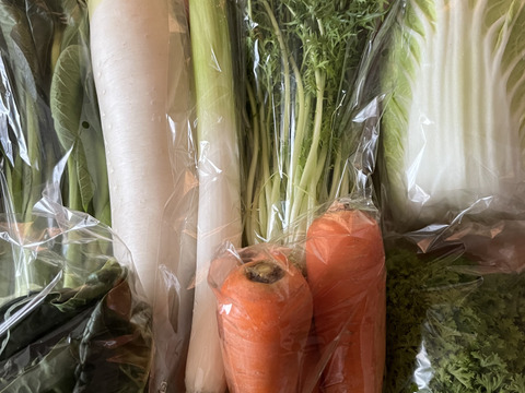 [なゆた農場]冬野菜たっぷり鍋野菜セットMサイズ（8袋分）