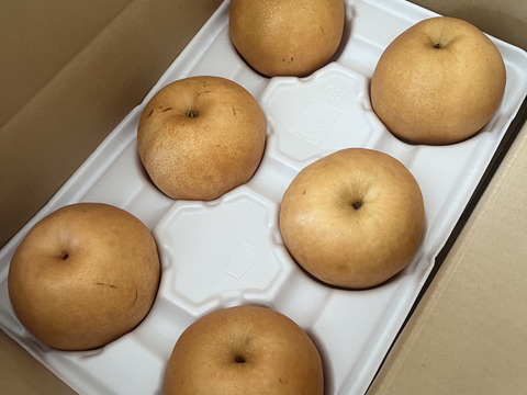 糖度13度以上☆梨の王様、『新高梨』5kg（5-8個）