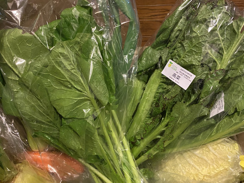 【少量サイズ♪】信州冬野菜セット10品目 お試しにも！