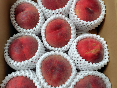 山形県産 桃 わけあり 2箱 超訳あり家庭用☆品種おまかせ】桃2kg：山形県産の白桃｜食べチョク