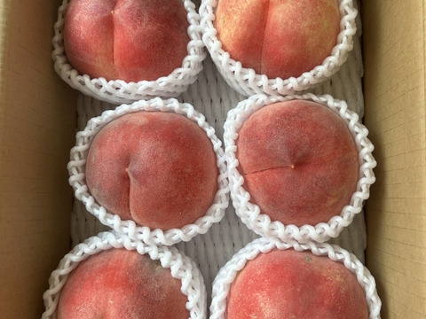 【白桃🍑あかつき】果汁たっぷりモチモチ系！訳あり 2kg