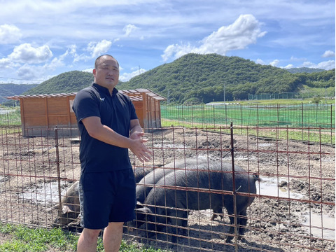 岡山県で、こだわりのエサと放牧飼育で1年以上育てた4元豚豚　ウデ・バラ・モモ　300g×３パックセット　【福袋】【冬ギフト】