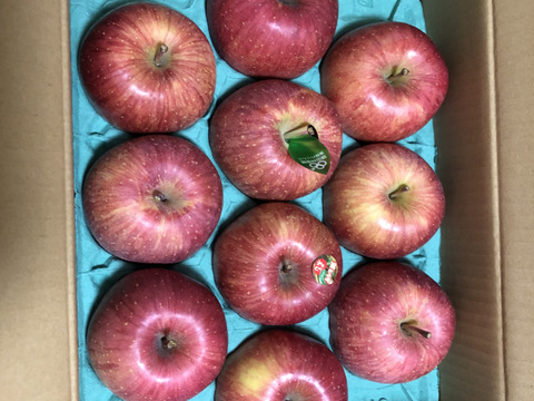 個性派りんご🍎葉隠れサンふじ  冬ギフトにもどうぞ（9個～12個）3キロ箱使用