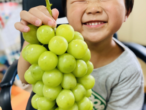 【夏ギフト】✨家庭用✨熊本県産甘熟シャインマスカット（約1.3㎏）【2〜4房】