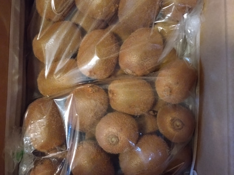 じゅ～し～ハルミ（大玉ミックス）５K箱