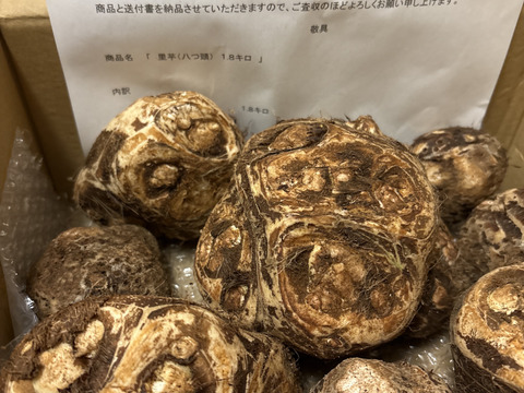 茨城名産おいしい 里芋（八つ頭） １.８ キロ　【おでん、煮物、おせち縁起物】　ほくほくねっとり旨い！
