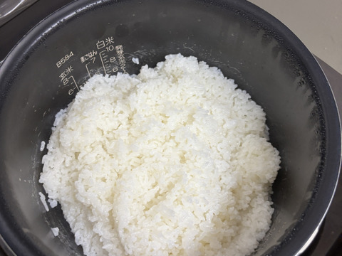 特別栽培  お米「いのちの壱」 令和7年産 10kg