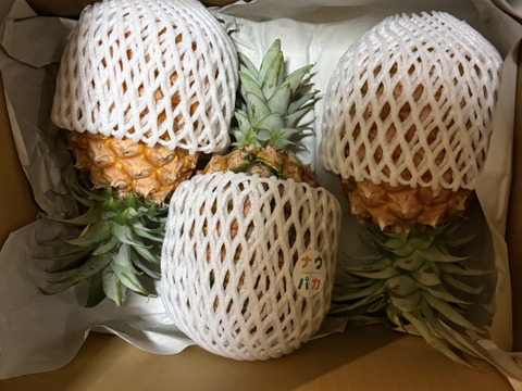 先行予約》✨完熟ピーチパイン約2Kg(3〜4個入)✨ ✨ほんの〜り桃の