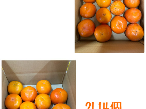和歌山県産　富有柿（家庭用）L.2Lサイズ