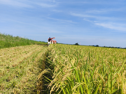 2024新米！10kg安心安全！コシヒカリ！ご注文いただいてから精米します(10kg)