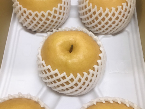 【味に自信あり‼️】PREMIUM新高梨約5kg(5~9個)✨️コロコロ梨工房の自信作‼️樹上完熟、甘くてとってもフルーティー✨️今年も甘いです😋糖度15度超‼️鮮度を保つ為クール便で発送🚚