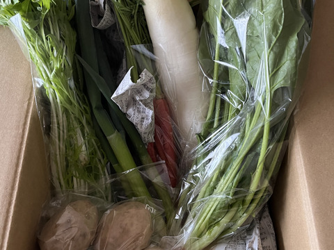 【朝市限定】🥬旬のかやぶき京野菜セット🥕◎【80サイズ】【6～7品目】