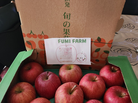さんフジ 山形 朝日町産 小玉 りんご 約3kg   1級品 贈答用 家庭用 リンゴ