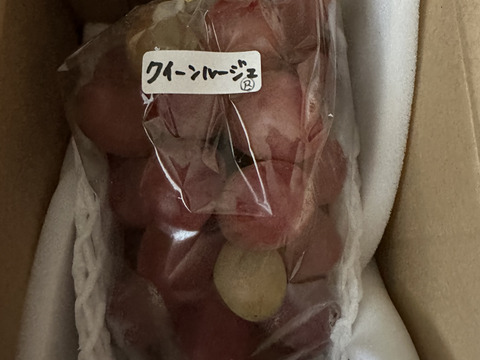 【最新品種】【長野県限定生産】令和7年10月発送開始★種無し★丸ごと★クイーンルージュ（1房400g以上）