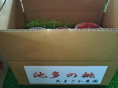 【夏ギフト】なつおとめ　池多桃　6、5玉