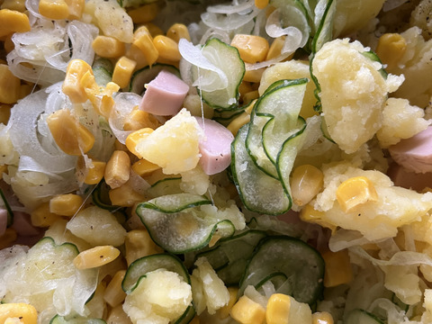 【2026年5月発送予約】旬の新じゃが！「キタアカリ」【農薬・化学肥料・除草剤不使用】（2kg）