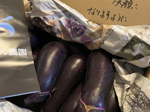 クール便用【煮て焼いて、揚げて良し！】今が旬！中長ナス 2キロ