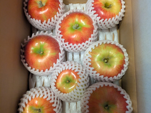 甘みが強い！「シナノスイート」（自家用）3㎏