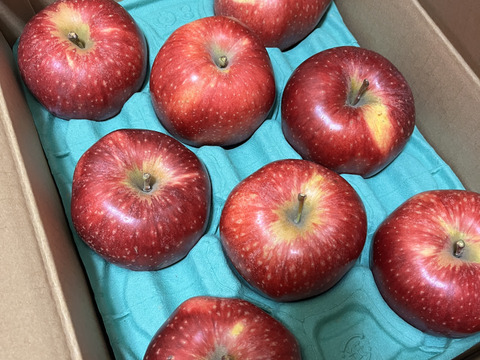 終わります🍎【幻の林檎】さとあかり 3キロ箱 6玉〜15玉サイズ商品ID47897 長野県 信州 安曇野 リンゴ 幻 幻のリンゴ 予約 希少 旬