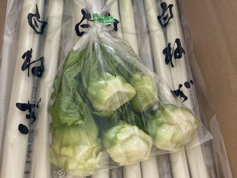天ぷらに最高！レア野菜「子持ち高菜」（300g）と庄内産「軟白ネギ」（1kg）