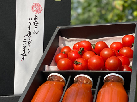 【母の日ギフト】高糖度ミニトマトと無添加トマトジュースのギフトセット