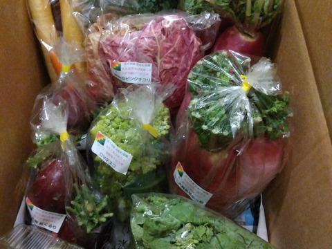 【常温便】カラフル野菜農家のカラダ喜ぶ
『Ⅼサイズ冬のカラフル野菜セット12袋入り』
