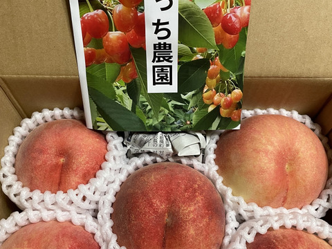 【お届けは８月下旬～】川中島白桃「大人気の桃は食べて納得の美味さ♪」1.5kg